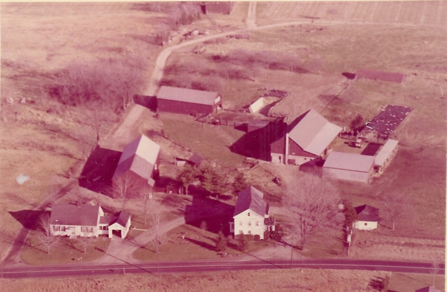 About Cupola Hollow Cupola Hollow Farm